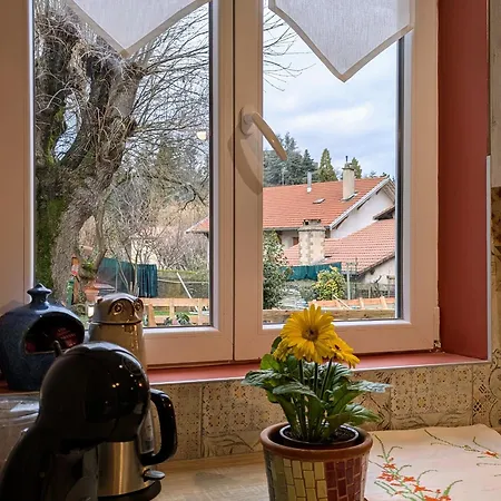 Avec Piscine Et Pres Du Puy-en-velay - Fr-1-582-542 Espaly-Saint-Marcel